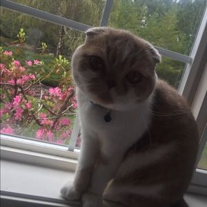 Meet your Posher, Alyson